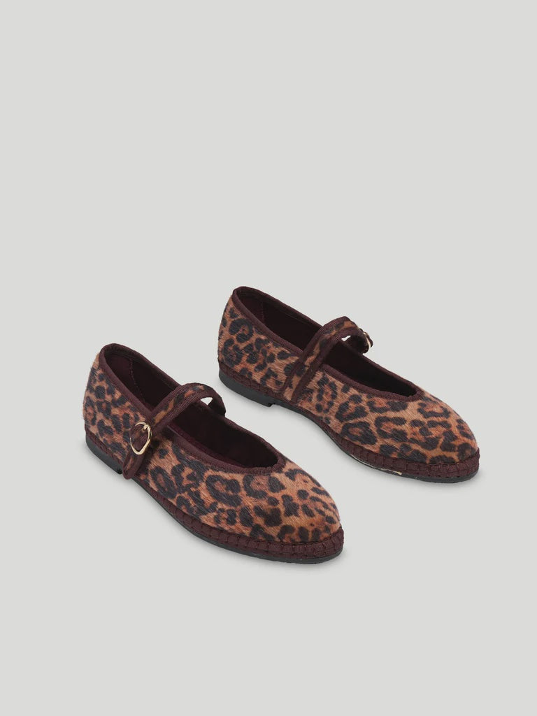 Pierre Feline Brown